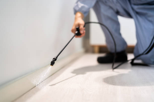Licensed Pest Control service in Weston, OH - Show Me Pest Control