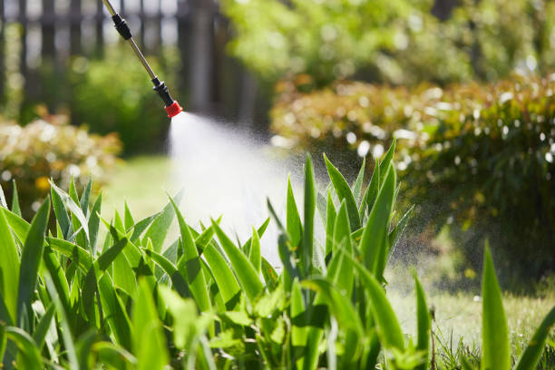 24/7 Emergency Ant Control experts in Weston, OH